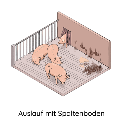 Auslauf-mit-Spaltenboden